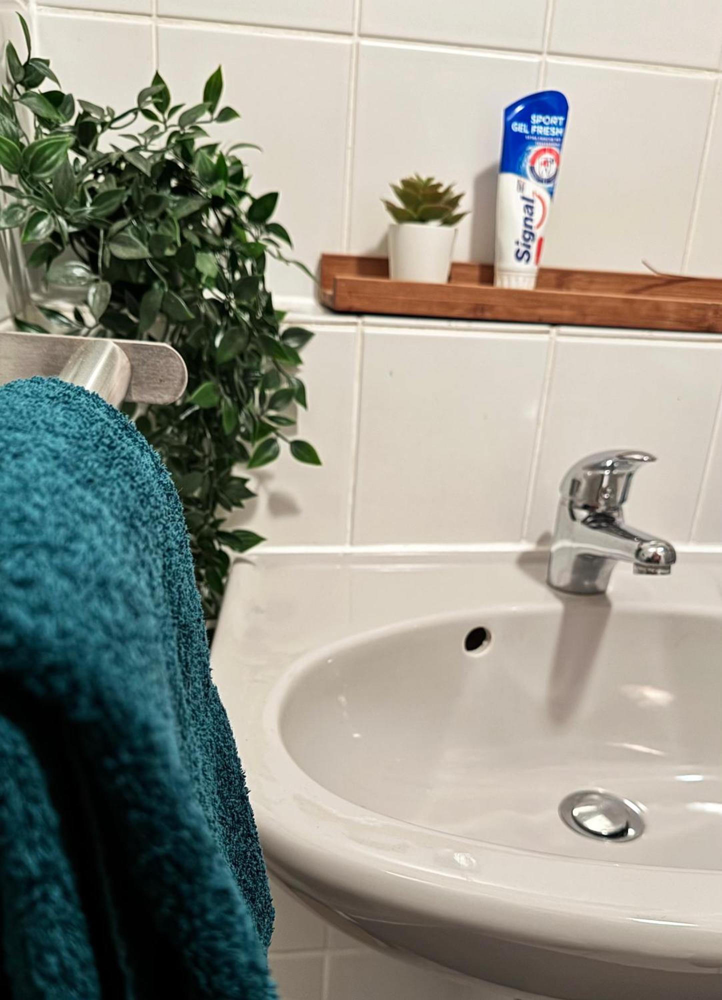 Zentrumnah Inklusive Parkplatz Jungle-Suite By Rentigo - Ruheoase Im Herzen Von Saarbruecken! Екстериор снимка